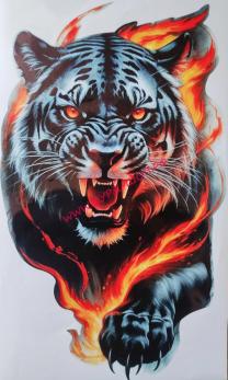 nakleyka-tigr-ogon-1-48h28-sm-polnotsvet-vyreznaya-21010