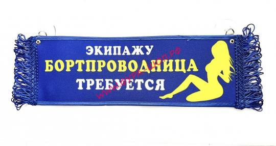 ВЫМПЕЛ ТАБЛИЦА БОРТПРОВОДНИЦА 30х10см