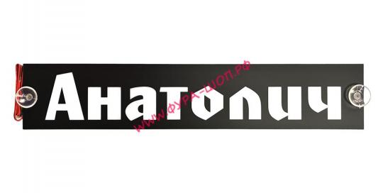 Таблица диодная АНАТОЛИЧ 24V 49*10 см бело -синяя