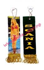 купить, CN2005, Вымпел, на присоске, малый, Scania, девушки, зеленый, скания
