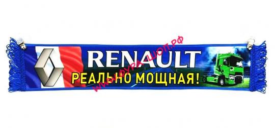 ВЫМПЕЛ ТАБЛИЦА РЕНО 50Х10 СМ