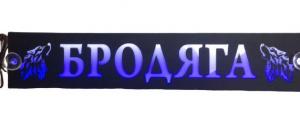 Таблица диодная БРОДЯГА 24в 49*10 бело-зеленая